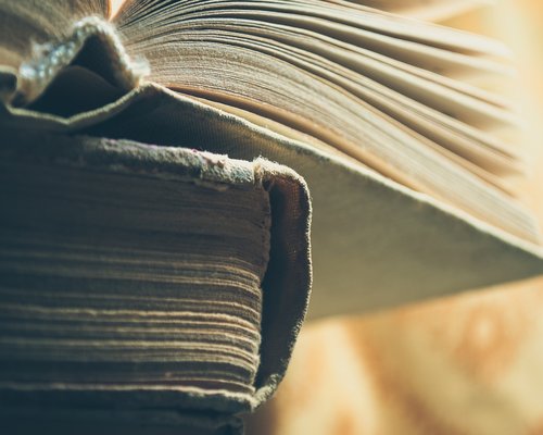 Tumpukan buku dan tanaman kecil